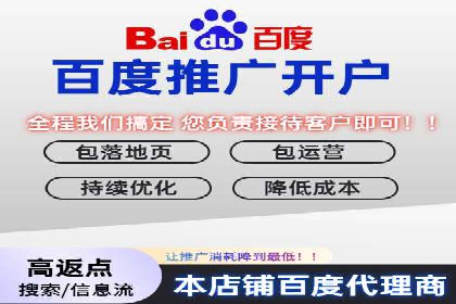 企业SEM服务实战案例解析